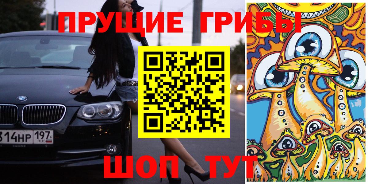 Сухой Лог  Псилоцибиновые грибы мицелий  Вход с VPN  Галлюциногенные грибы GOLDEN TEACHER 