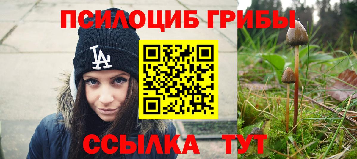 Галлюциногенные грибы Cubensis Сухой Лог
